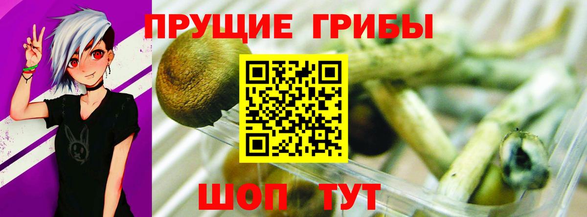 Псилоцибиновые грибы мицелий Симферополь
